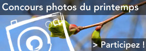 Concours photos Les promesses du Printemps