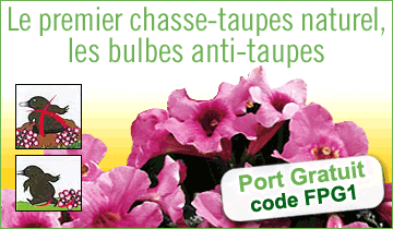 Bulbe anti-taupes