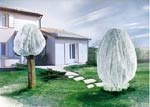 Voile d'hivernage 2 m x 5 m (lot de 2) - Intermas Celloplast
