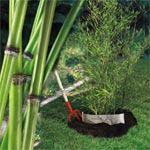 Barrière anti rhizomes Barrière anti rhizomes