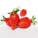 Fraisier Gariguette